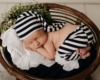 newborn and lifestyle photographer michigan